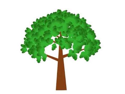 Growing Tree Animation - YouTube