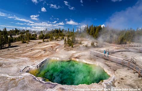 402 Yellowstone National Park