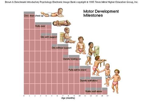 Andrew File System Retirement | Toddler development, Child development stages, Physical development