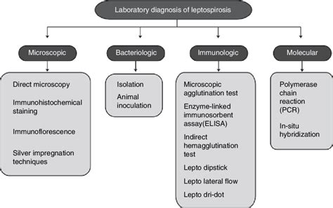 5. Laboratory diagnostic methods for leptospirosis. | Download Scientific Diagram