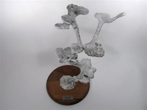 Amazingly Complex Ant Hills Cast as Aluminum Sculptures