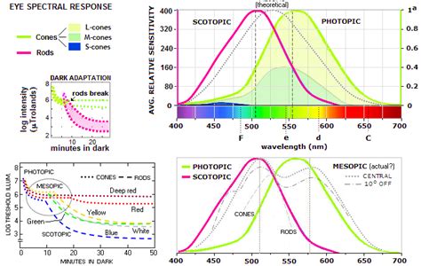 Eye spectral response