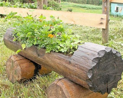 Log Planter | Backyard planters, Log planter, Planters