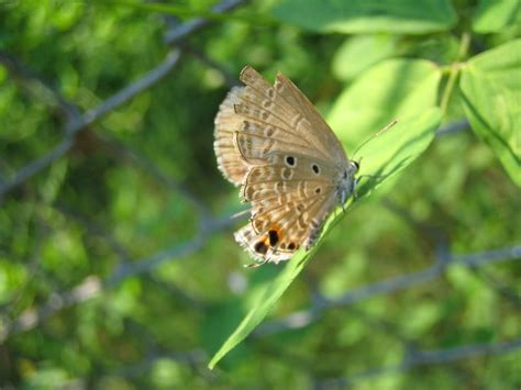 Botanical Garden, Pondicherry - 2020 (Photos & Reviews)