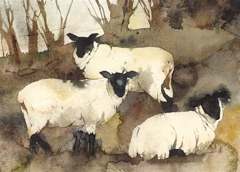 Watercolor Animals, Watercolour Painting, Painting & Drawing, Watercolours, Sheep Paintings ...