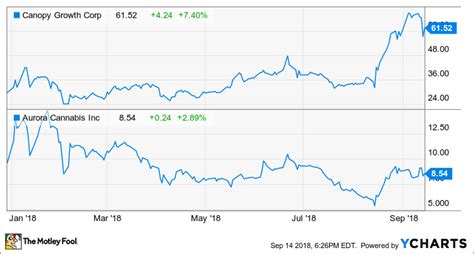 Which of the Big Cannabis Companies Has a Better Competitive Advantage ...