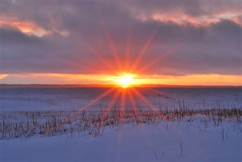 Today is the first day of winter and the shortest day of the year