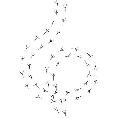 Bird Tracks Illustrations, Royalty-Free Vector Graphics & Clip Art - iStock