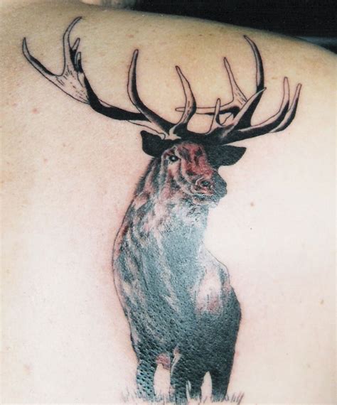 21 best Elk Tattoos images on Pinterest | Elk tattoo, Moose tattoo and Cool tattoos