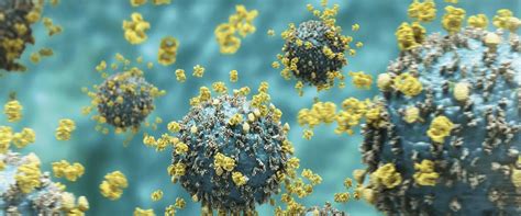 Top 6 Norovirus Facts You Must Know