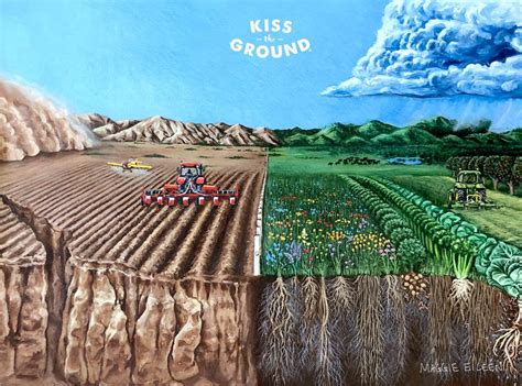 ‘Kiss the Ground’ review: The soil may save us, but it’s not that ...