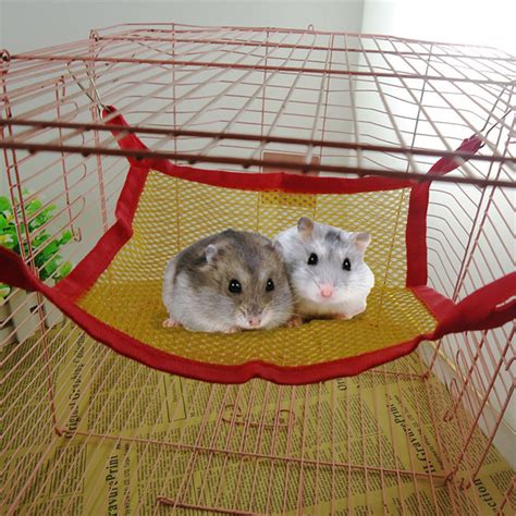 Aliexpress.com : Buy Breathable hamster Nest Mesh Hammock small Pet squirrel Hammock Guinea pig ...