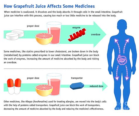 Grapefruit Juice And Medicine Warning Photograph by Science Source ...