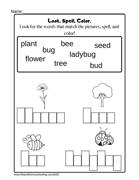 All About Spelling Printables - Printable Word Searches