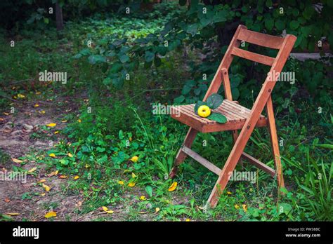 Old wooden folding chair in the country garden Stock Photo - Alamy