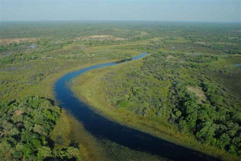 Okavango River - Facts | Delta | Basin | Map - Rhino Rest