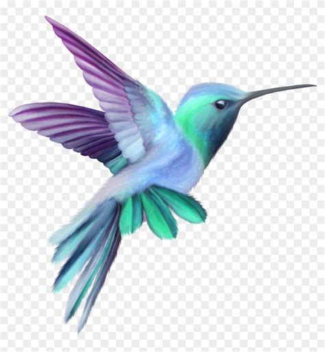 Image Result For Hummingbird - Hummingbird Clipart - Free Transparent ...