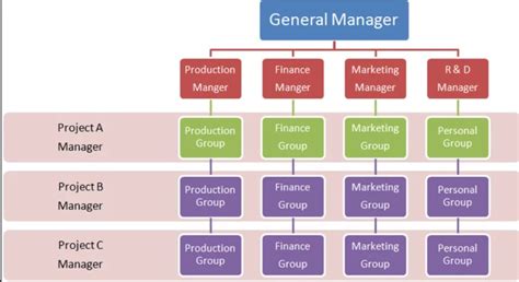 Organization Matrix Structure – indiafreenotes