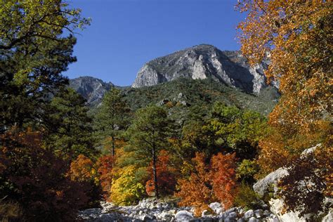 Where to See Fall Foliage in Texas