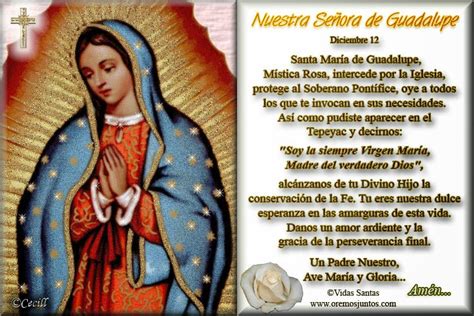 Estampitas de la Virgen de Guadalupe en caricatura - Imagui