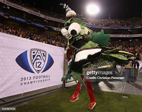 Stanford Mascot Tree Photos and Premium High Res Pictures - Getty Images