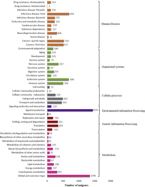 KEGG orthology (KO) classification. The second hierarchical stage of ...