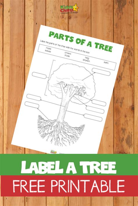 Label a Tree Free Printable - KiddyCharts Printables