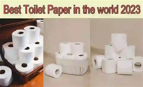 World Best Toilet Paper: How to Find the Perfect Roll for Your Needs - Rajkot Updates