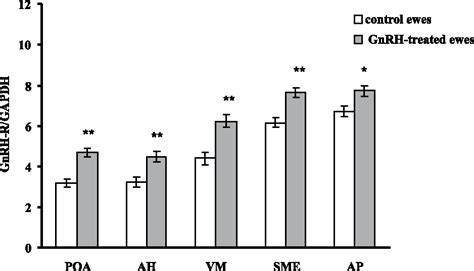 Figure 2 from Changes in the GnRH mRNA and GnRH receptor (GnRH-R) mRNA ...