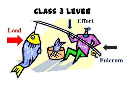 Third Class Lever Broom