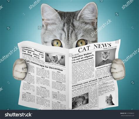 525 Cat reading newspaper Images, Stock Photos & Vectors | Shutterstock