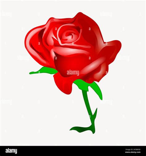 Red rose clipart, illustration vector Stock Vector Image & Art - Alamy