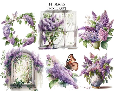 Watercolor Lilac Clipart, Watercolor Lilac, Purple Lilacclipart, Watercolor Spring Flowers ...