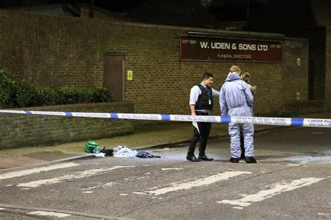 Peckham stabbing: Men and dog brutally knifed after row breaks out 'at wake' - Daily Star