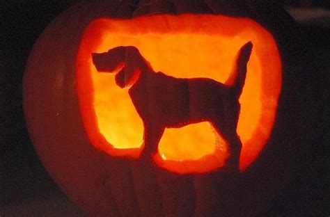 Dog Pumpkin Carving Stencil Ideas | Pumpkin carving, Dog pumpkin ...