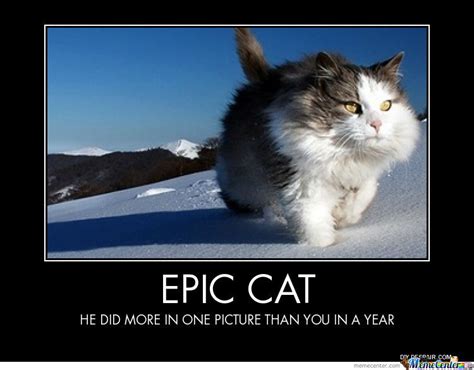 Epic Cat Wallpaper - WallpaperSafari