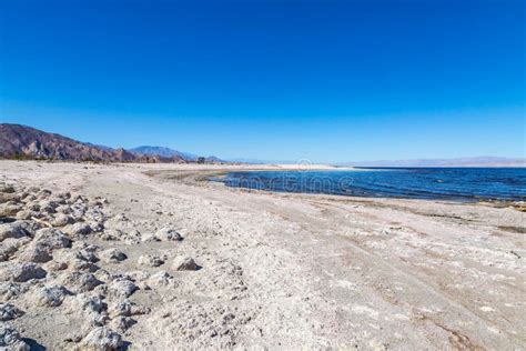 The Salton Sea stock photo. Image of beach, outdoors - 129720500