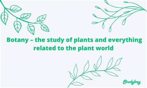 What is Botany ☘ Meaning of Botany in Science and as Career Path