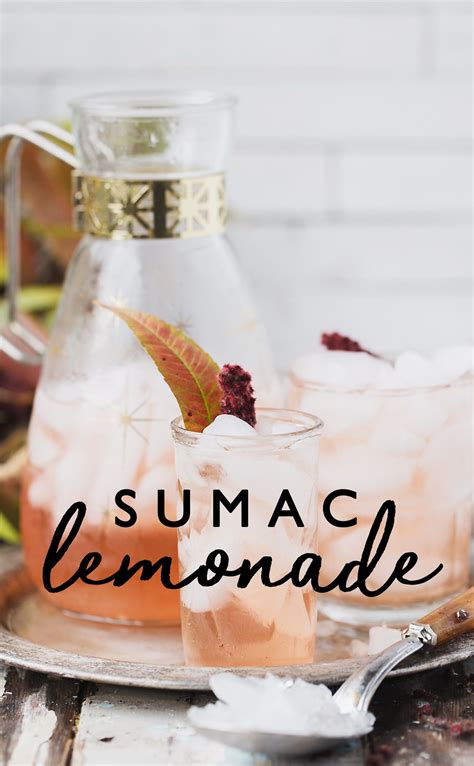 Foraged Pink Staghorn Sumac Lemonade | Ricetta