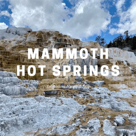 Mammoth Hot Springs – Consider the Wonders