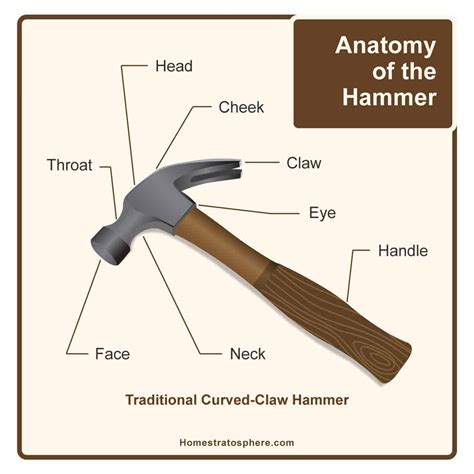 Parts of a Hammer (Awesome Diagram)