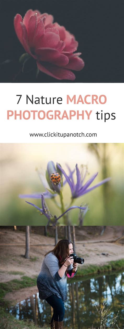 7 Best Macro Photography Tips for Creative Photos