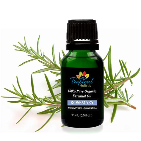 Organic Rosemary Essential Oil 15ml (1/2 oz), 100% Pure Therapeutic Gr – Tropical Holistic