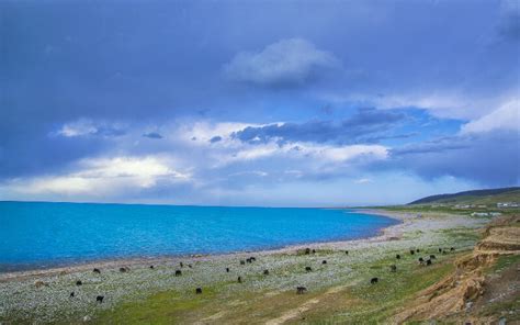 Qinghai Lake, China's Largest Lake