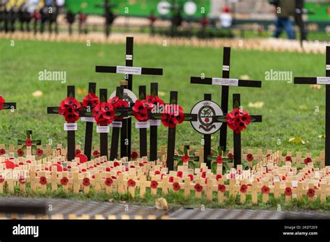 London, UK. 8th Nov, 2022. The Westminster Abbey Field of Remembrance ...