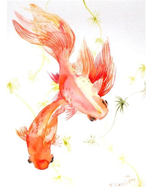 Japanese Watercolor, Watercolor Fish, Watercolor Palette, Watercolor ...