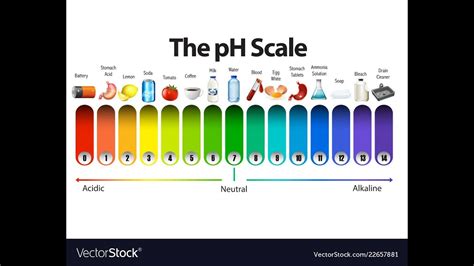 Acidity in Coffee. - YouTube