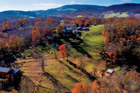 Apple Hill Farm Spreads Alpaca Love - North Carolina Field and Family