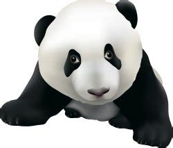 Panda Bear clip art