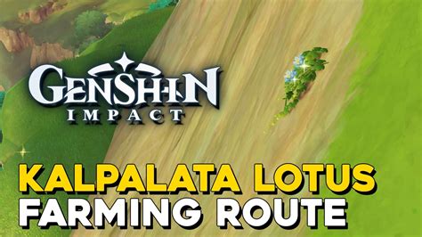 Genshin Impact Kalpalata Lotus Farming Route (Kalpalata Lotus Locations ...